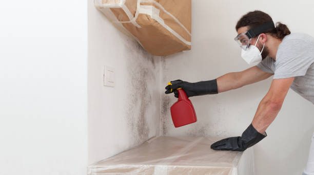 Professional Commercial Mold Remediation technician working in Fairview, NY